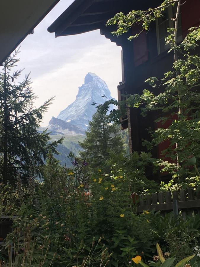 Mountain Apartments Zermatt Nr 6 Екстер'єр фото